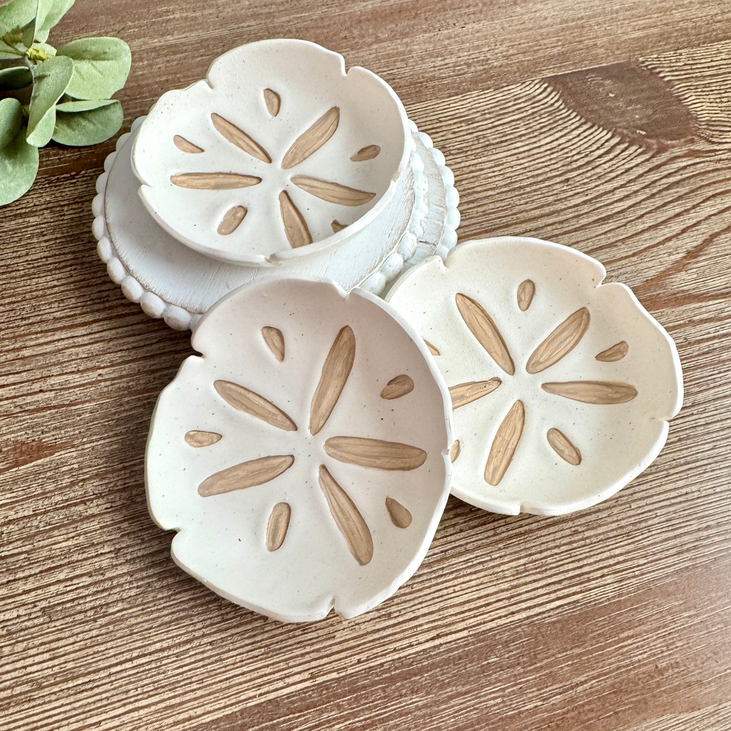 Sand Dollar Trinket Dishes