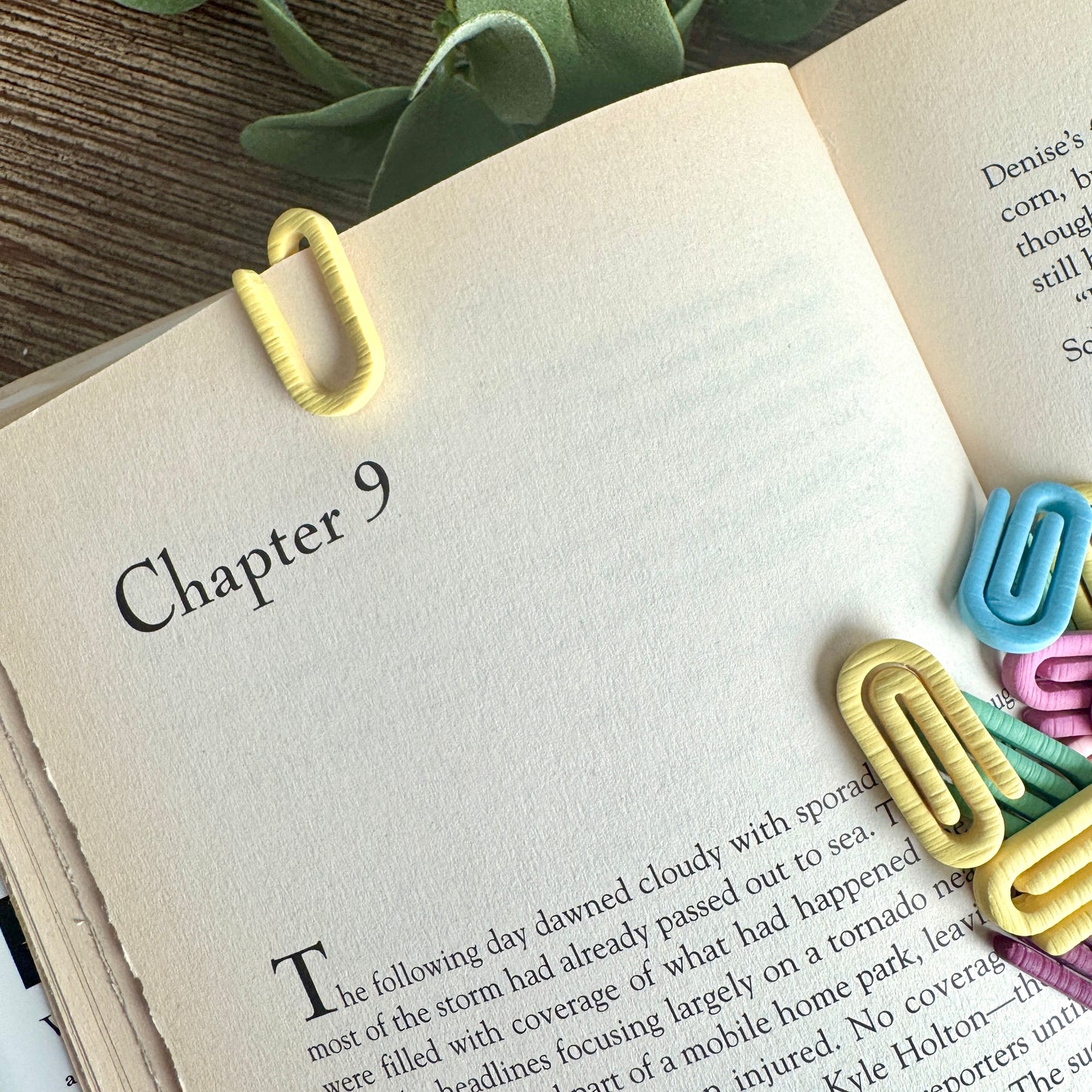 Bookmarks - Mini Paperclips