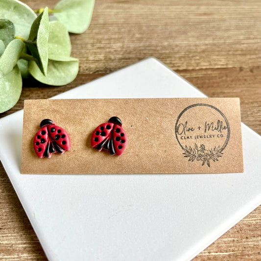 Ladybug Studs