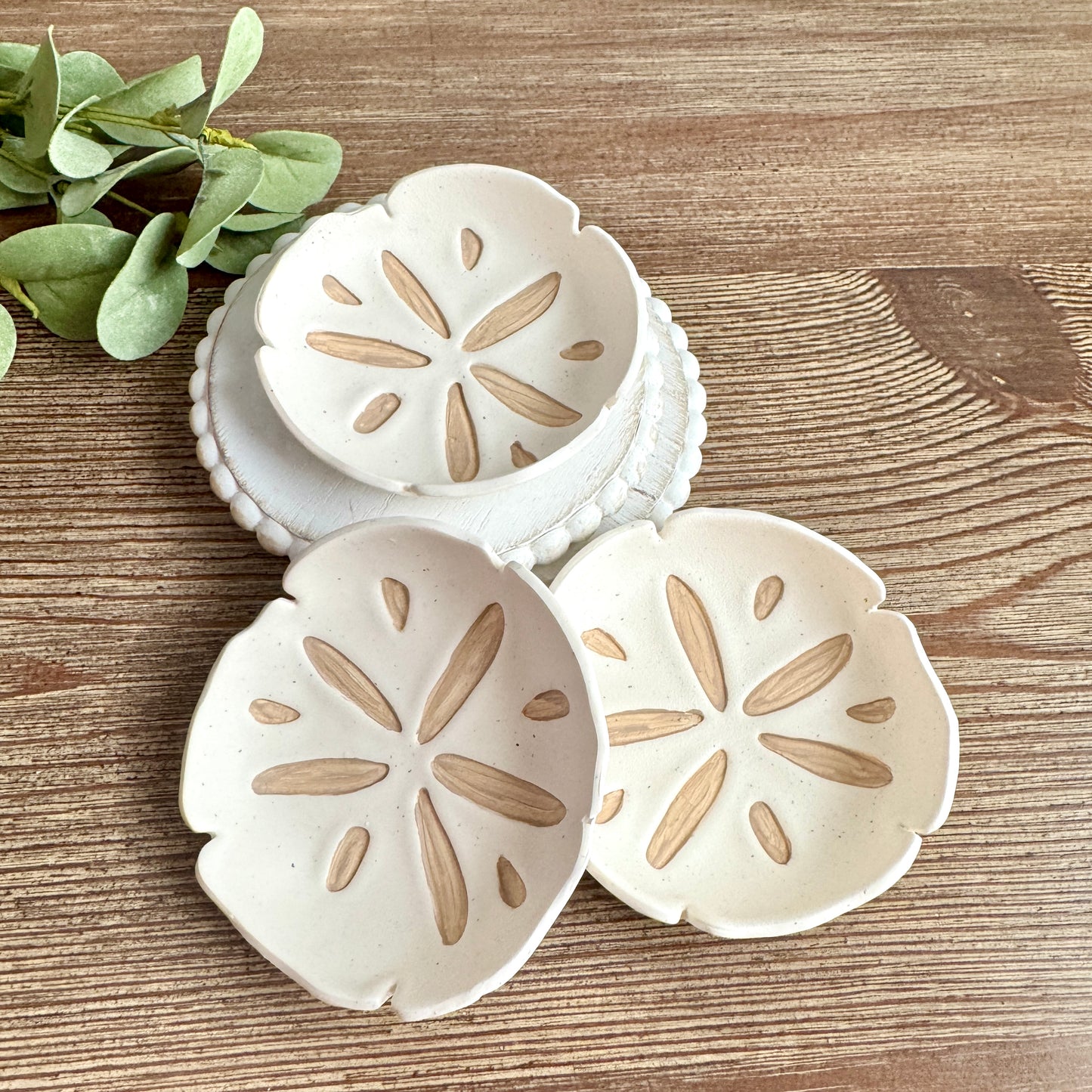 Sand Dollar Trinket Dishes