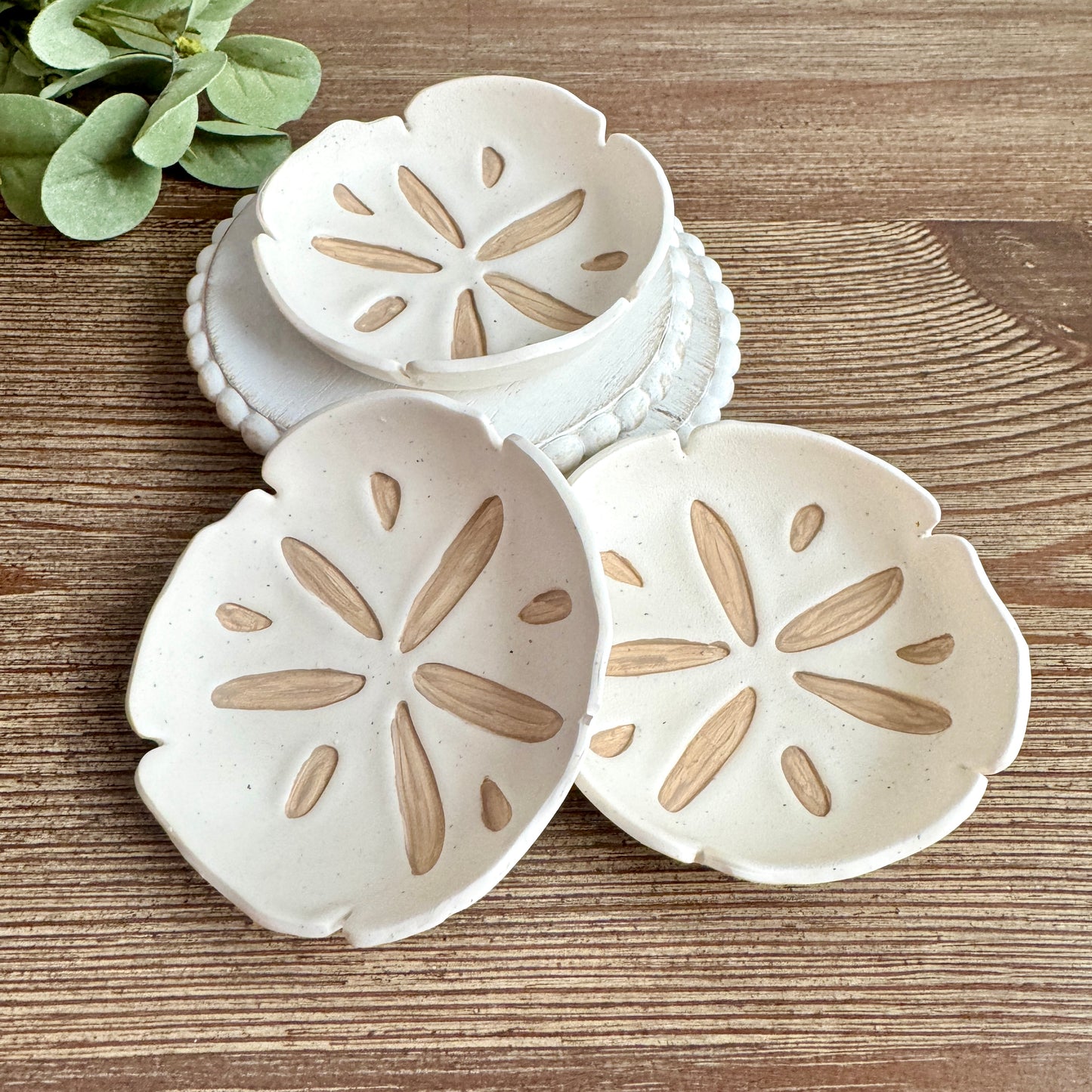 Sand Dollar Trinket Dishes